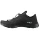 AMPHIB BOLD 2 - STANDART